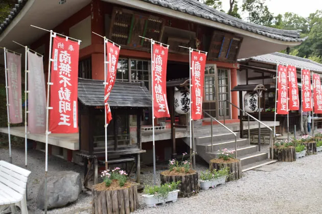 不動寺　撫子　ナデシコ